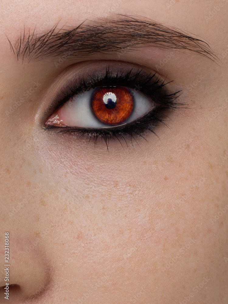 Elegance close-up of female eye with classic dark brown smoky make-up. Macro shot of woman's face part. Beauty, cosmetics and makeup. Elegance close-up of female eye with classic dark brown smoky make-up. Macro shot of woman's face part. Beauty, cosmetics and makeup.