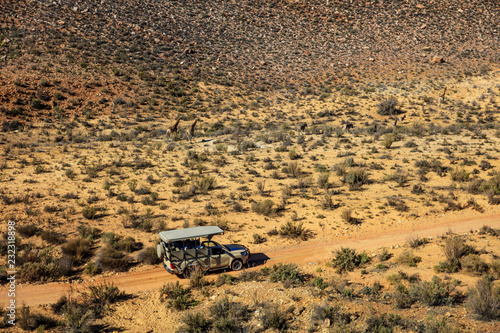 Jeep driving in park, Touws River, Western Cape, South Africa photo