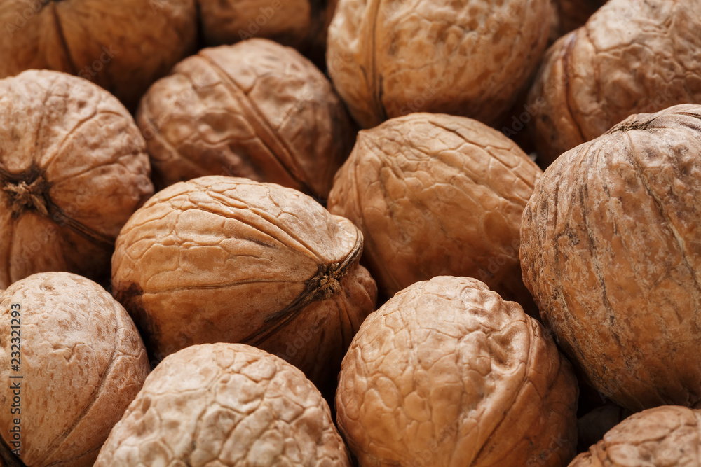 Natural Walnuts in shell background dramatic contrast Natural Walnuts in shell background dramatic contrast