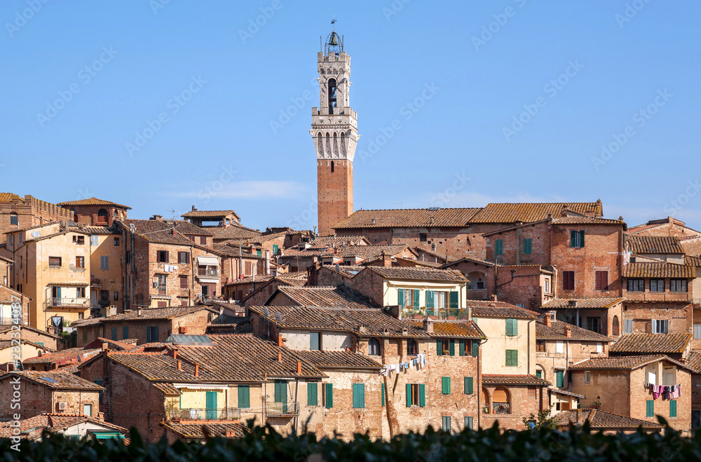 Cityscape with houses, narrow streets and brick towers of Siena, Tuscany. City in Italy