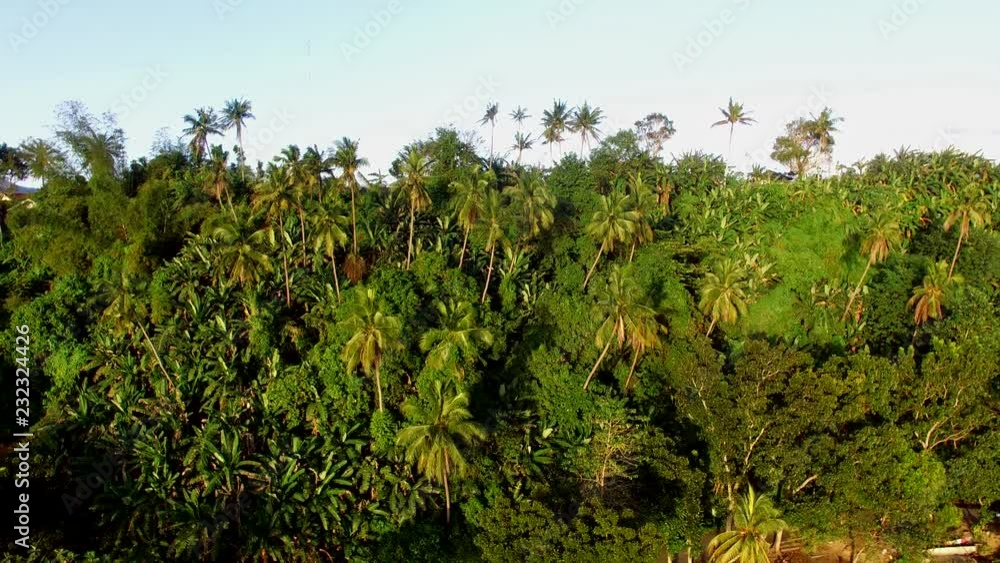 San Pablo City, Laguna, Philippines - January 26, 2018: Trees and vegetation on mountain lake shore. Drone aerial. San Pablo City, Laguna, Philippines - January 26, 2018: Trees and vegetation on mountain lake shore. Drone aerial.