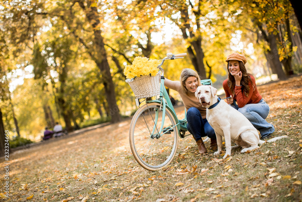 Two female friends walking in the autumn park with dog and bicycle Two female friends walking in the autumn park with dog and bicycle