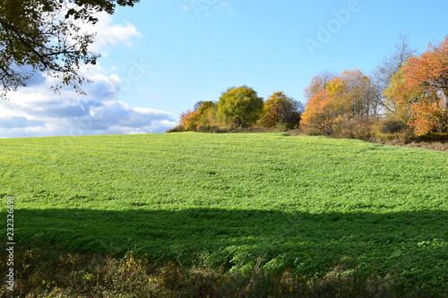 herbstliche grüne Eifel photo