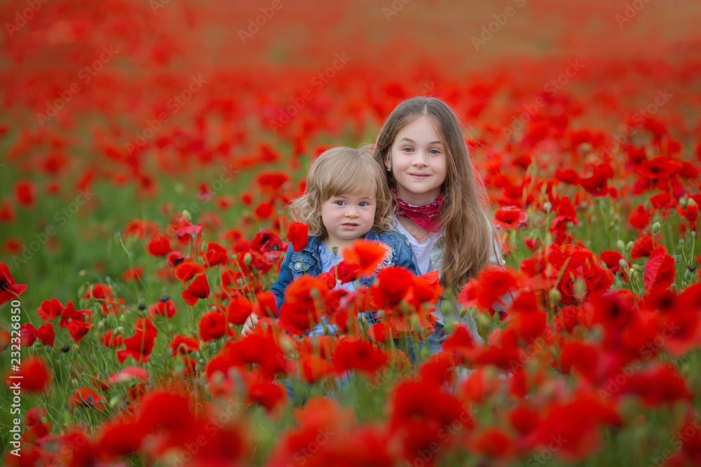 fashion, freedom, journey, travel, family, friendship concept - in the middle of poppy field there are enchanting little nymphs in gorgeous blue and white dresses and with floral wreaths on heads fashion, freedom, journey, travel, family, friendship concept - in the middle of poppy field there are enchanting little nymphs in gorgeous blue and white dresses and with floral wreaths on heads