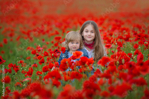 fashion, freedom, journey, travel, family, friendship concept - in the middle of poppy field there are enchanting little nymphs in gorgeous blue and white dresses and with floral wreaths on heads © TwinkleStudio