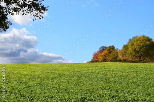 herbstliche grüne Eifel photo