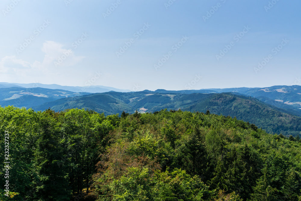 Germany, Above tree tops of black forest trees on a mountain Germany, Above tree tops of black forest trees on a mountain