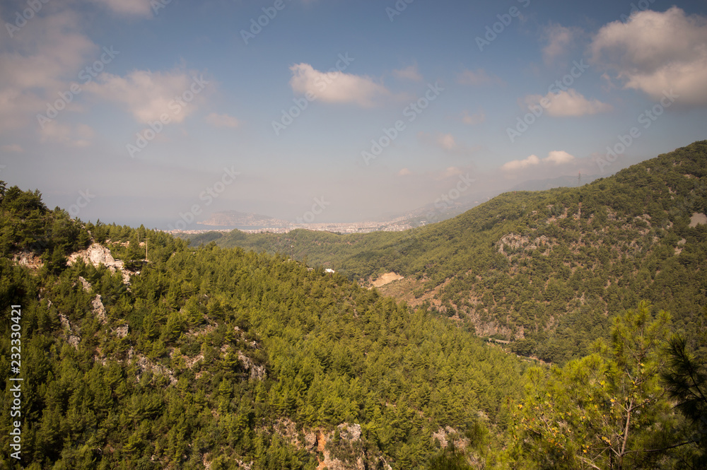 River and mountains on a summer day