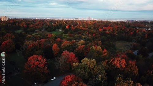 Flying above the stunning colorful treetops in Louisville with leaves turning colors on sunny morning. Beautiful autumn trees in yellow, orange and red forest on sunny autumn day. Fall foliage in the 