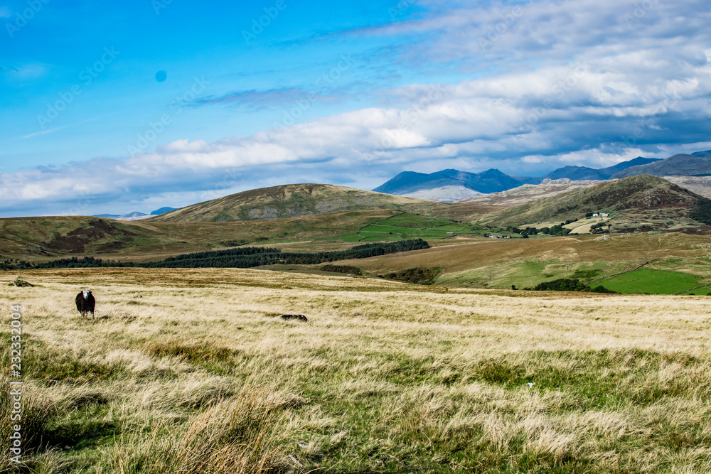 Obraz premium Lake District Landscape
