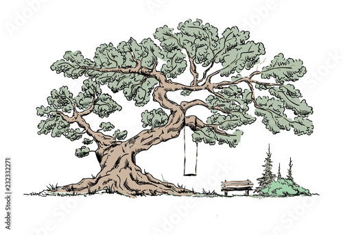 Big old tree
