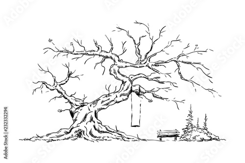 Big old tree