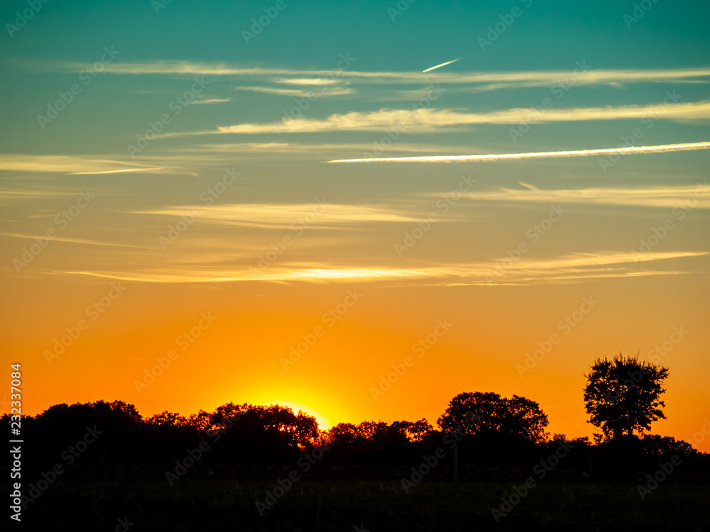 Sunset in the pasture with romantic sky with chemtrails and lens flare