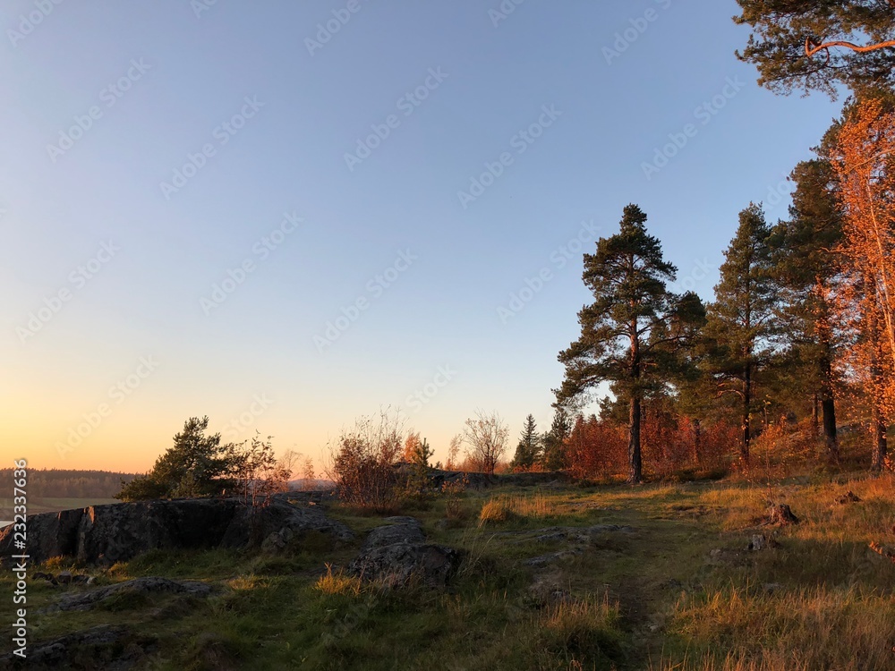 Fototapeta premium 1