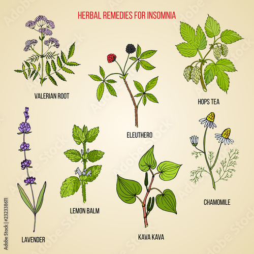 Best herbal remedies for insomnia