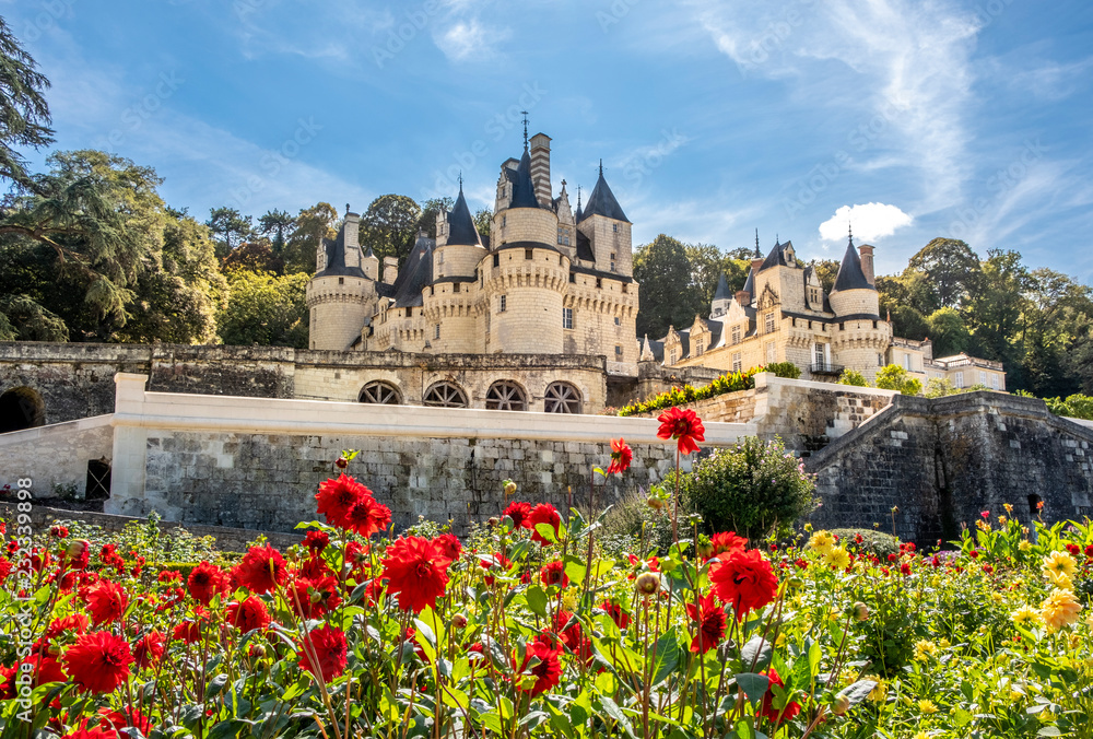 View no the beautiful medieval castle on sunny day with trees and flowers on the foreground, France.