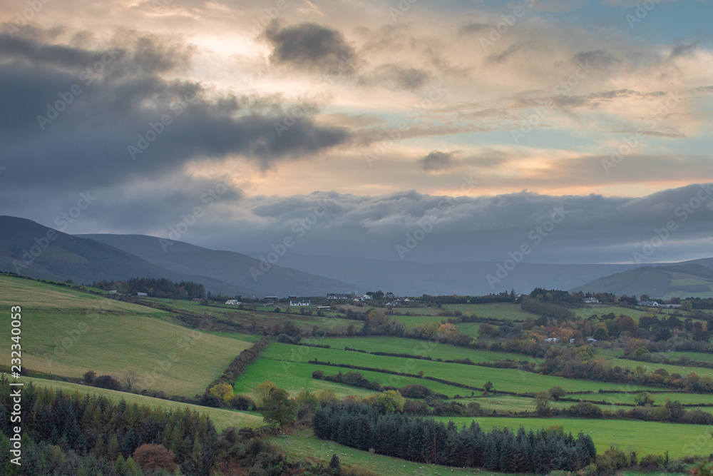 Naklejka premium A Rural View in North County Wicklow