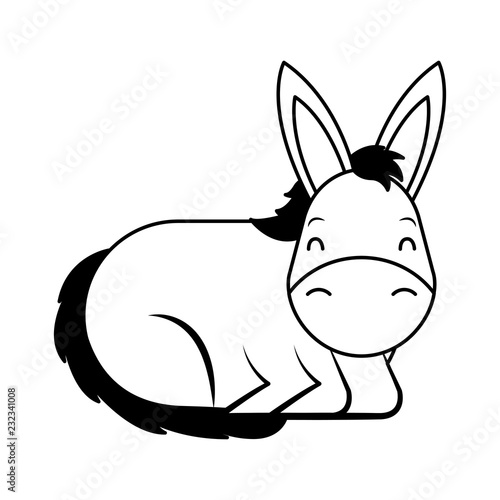 donkey cartoon animal wild life