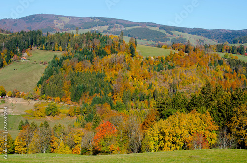 Bunte Wälder im Schwarzwald nahe St. Peter