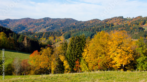 Fototapeta Naklejka Na Ścianę i Meble -  Bunte Wälder im Schwarzwald nahe St. Peter