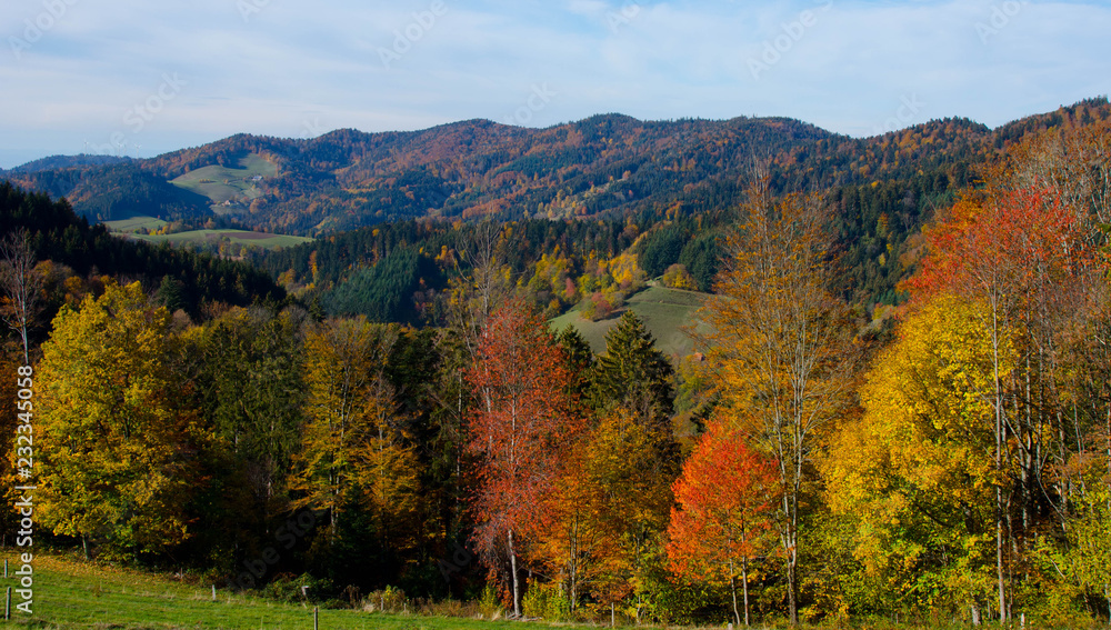Bunte Wälder im Schwarzwald nahe St. Peter