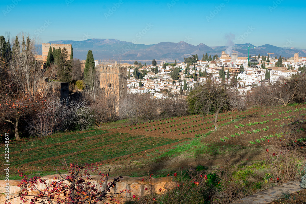 View of Granada from the Generalife gardens. Granada, Spain