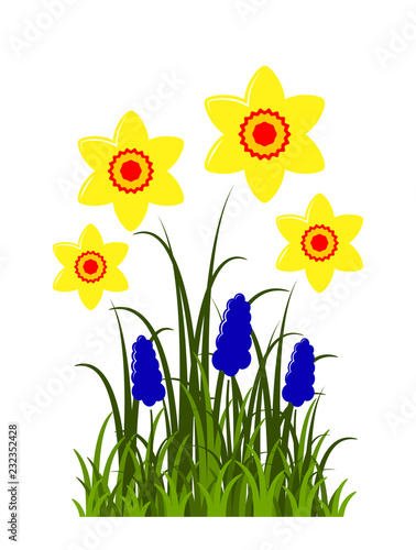 Fototapeta Naklejka Na Ścianę i Meble -  spring flowers