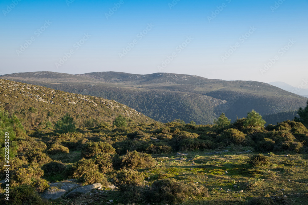landscape of a valley with green trees and blue sky in spring in Spain