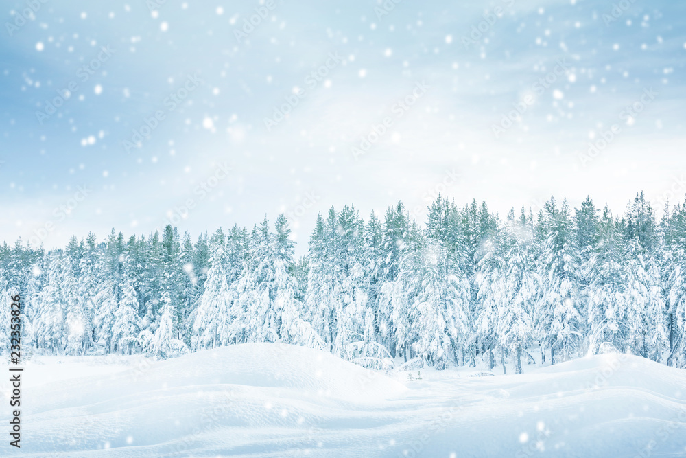 Fototapeta winter background with snowflakes, Christmas background with heavy snowfall, snowflakes in the sky