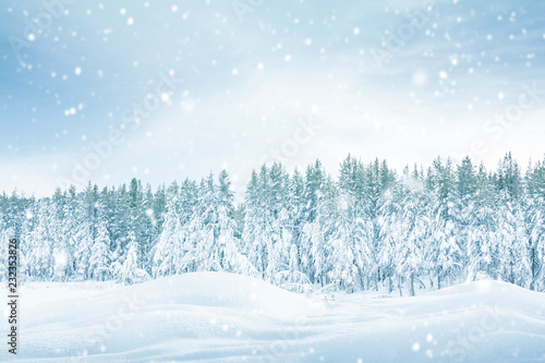 winter background with snowflakes, Christmas background with heavy snowfall, snowflakes in the sky