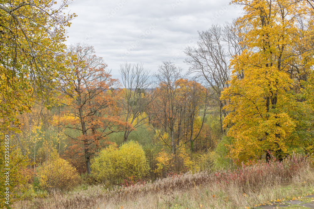 Fototapeta premium Осенний пейзаж