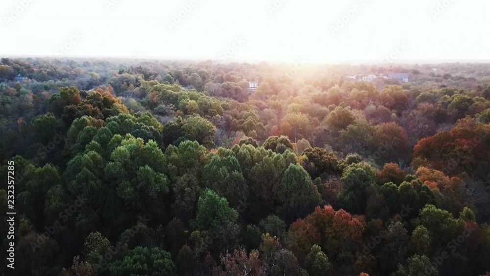 Flying above the stunning colorful treetops in Louisville with leaves turning colors on sunny morning. Beautiful autumn trees in yellow, orange and red forest on sunny autumn day. Fall foliage in city Flying above the stunning colorful treetops in Louisville with leaves turning colors on sunny morning. Beautiful autumn trees in yellow, orange and red forest on sunny autumn day. Fall foliage in city