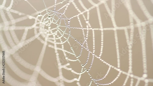 4K Footage of spiderweb with dew drops hanging on it at foggy morning. Amazing beauty of nature with soft focus. Water drops on spider web close up at foggy morning.