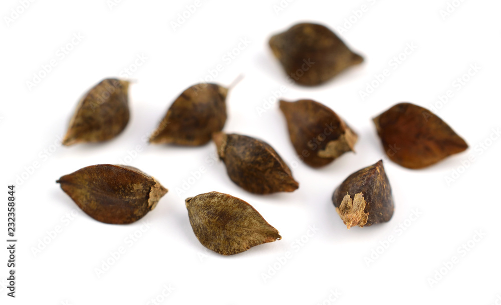 Obraz premium Sprouting (in Hull) Buckwheat Seed Macro. Isolated on White Background.