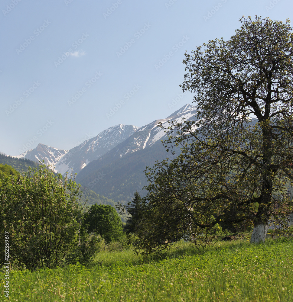 Spring on mountain valley Spring on mountain valley