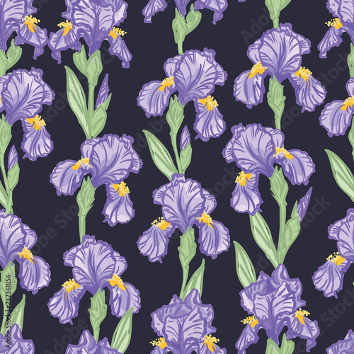 Fototapeta Naklejka Na Ścianę i Meble -  Hand Drawn Seamless Floral Pattern with Irises - vector illustration