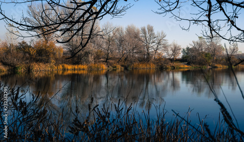 Beautiful autumn landscape. Trees reflected in the water of the lake © konoplizkaya