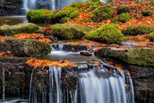 Scalber Force in Autumn
