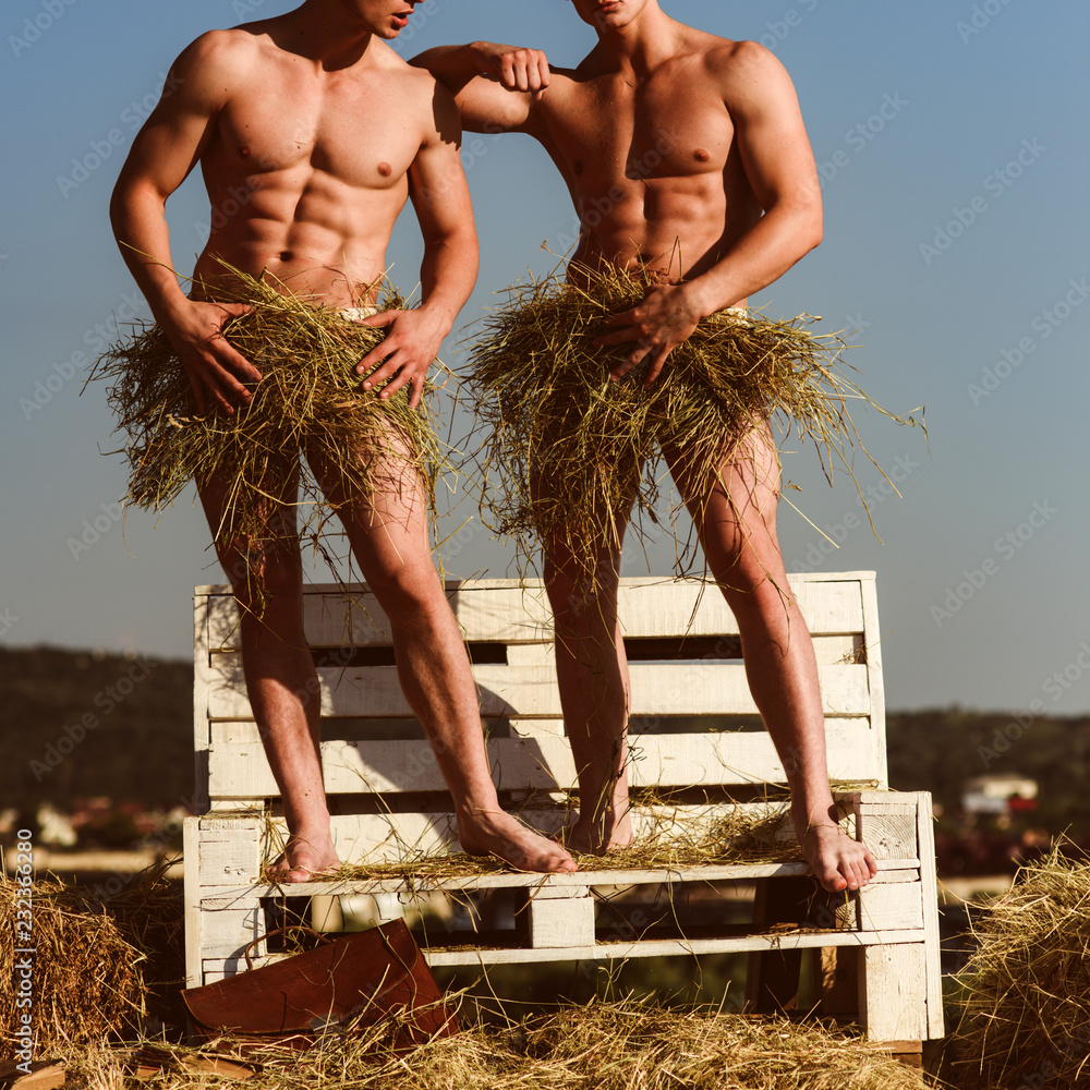 Really sensual. Sexy men enjoy summer day. Pair of twins with muscular body  in summer. Muscular men with six pack abs. Naked twins with fit body  covering by hay foto de Stock