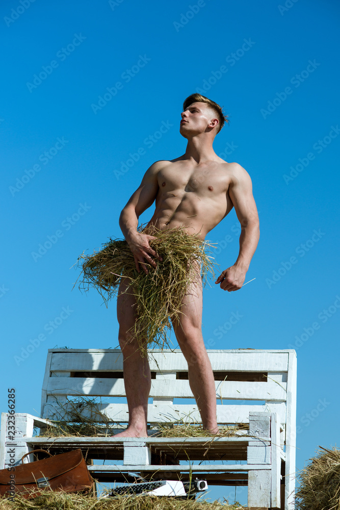 Handsome and muscular. Naked guy with sexy body covering by hay. Sexy man  with muscular body.