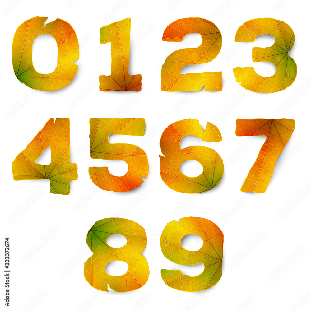 Set of vector numbers made from autumn leaves, isolated on white background Set of vector numbers made from autumn leaves, isolated on white background