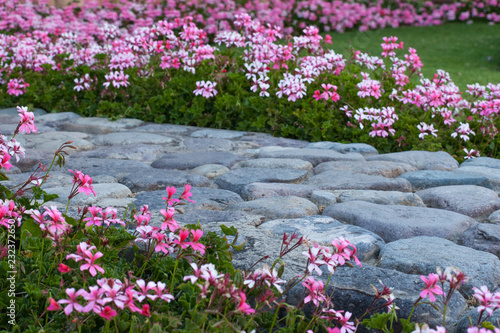 A hand made rock pathway is framed by delicate pink flowers. © Miriam