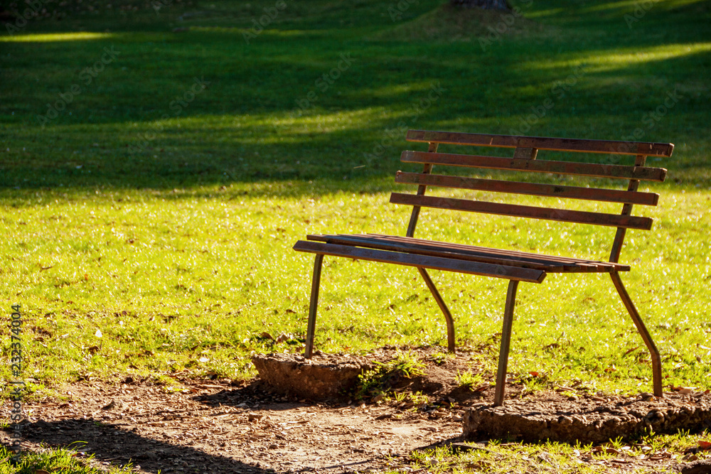 Bench in a park