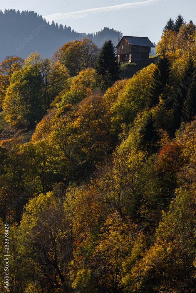House on the top of the hill in autumn forest