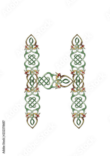 Photography Pattern for embroidery a letter H of interwoven  birds