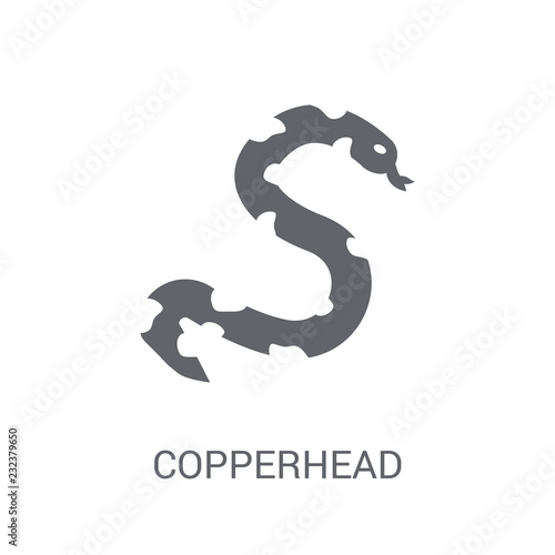 copperhead icon. Trendy copperhead logo concept on white background from animals collection photo