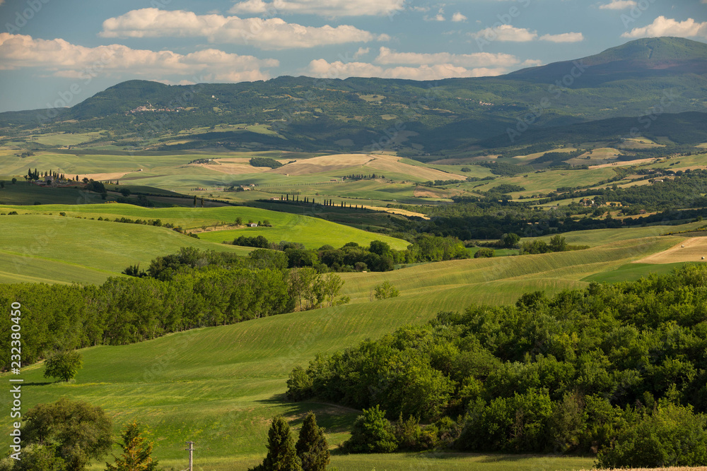 Shallow hills and green meaddows during midday in the Tuscany