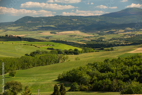 Shallow hills and green meaddows during midday in the Tuscany
