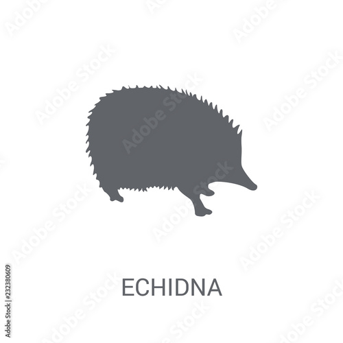 Echidna icon. Trendy Echidna logo concept on white background from animals collection