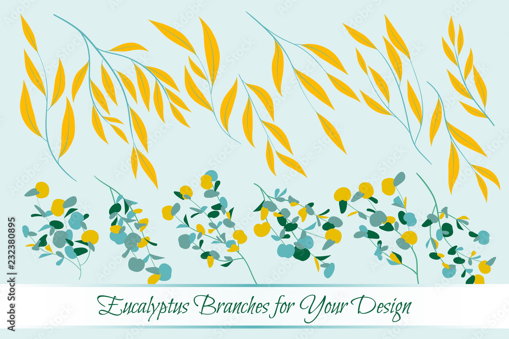 Eucalyptus Vector. Decorative Vector Leaves and Branches. Elegant Foliage. Beautiful Floral Element for Wedding Design. Tropical Plants. Eucalyptus Vector for Card, Invitation, Pattern, Print, Wreath.